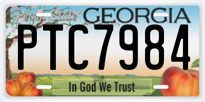 GA license plate PTC7984