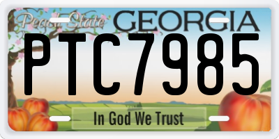 GA license plate PTC7985