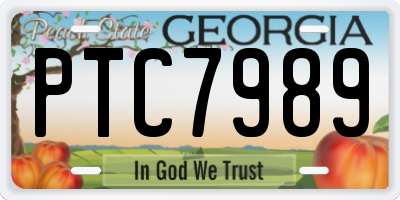 GA license plate PTC7989