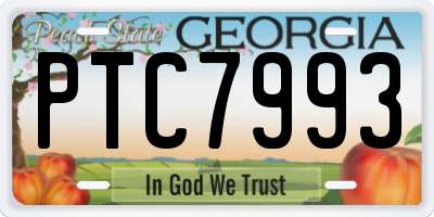 GA license plate PTC7993