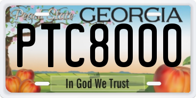 GA license plate PTC8000