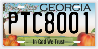 GA license plate PTC8001
