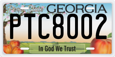 GA license plate PTC8002