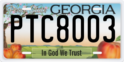 GA license plate PTC8003