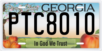 GA license plate PTC8010