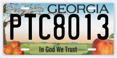 GA license plate PTC8013