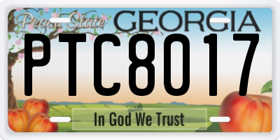 GA license plate PTC8017