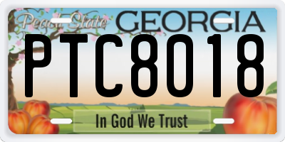 GA license plate PTC8018