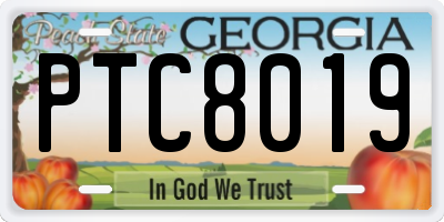 GA license plate PTC8019