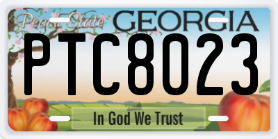 GA license plate PTC8023