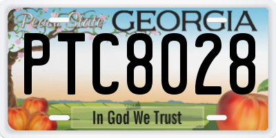 GA license plate PTC8028