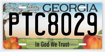 GA license plate PTC8029