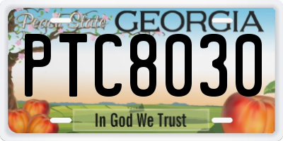 GA license plate PTC8030