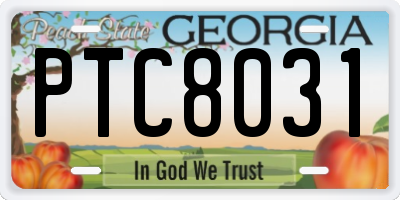 GA license plate PTC8031
