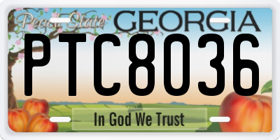 GA license plate PTC8036