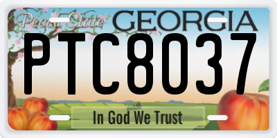 GA license plate PTC8037