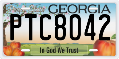 GA license plate PTC8042