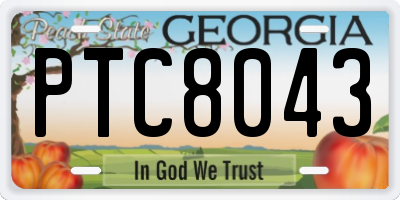 GA license plate PTC8043