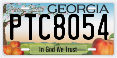 GA license plate PTC8054