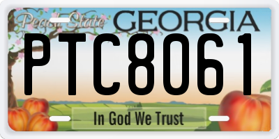 GA license plate PTC8061