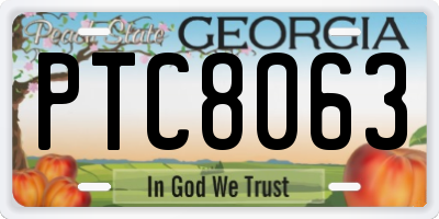 GA license plate PTC8063