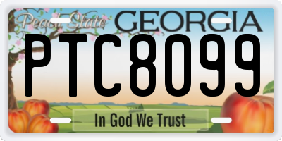 GA license plate PTC8099