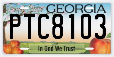 GA license plate PTC8103