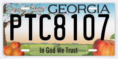 GA license plate PTC8107