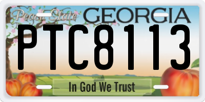 GA license plate PTC8113