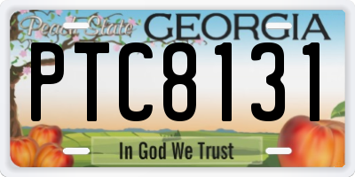 GA license plate PTC8131