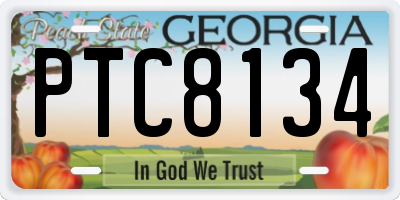 GA license plate PTC8134