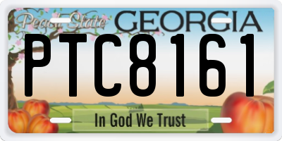 GA license plate PTC8161