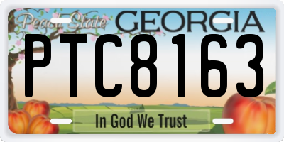 GA license plate PTC8163