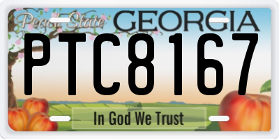 GA license plate PTC8167