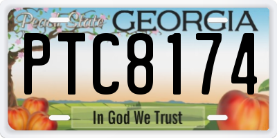 GA license plate PTC8174
