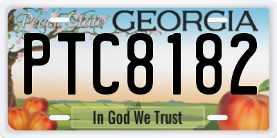 GA license plate PTC8182