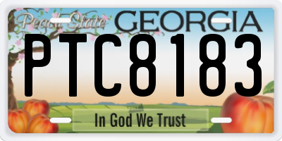 GA license plate PTC8183