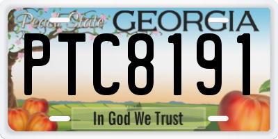 GA license plate PTC8191