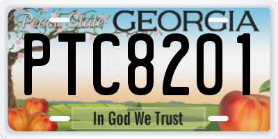 GA license plate PTC8201