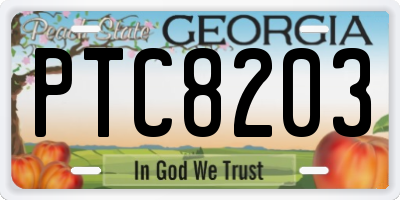 GA license plate PTC8203