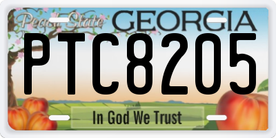 GA license plate PTC8205