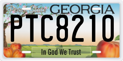 GA license plate PTC8210