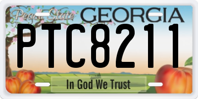 GA license plate PTC8211