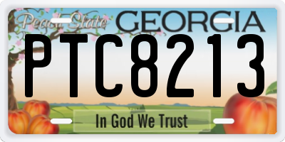 GA license plate PTC8213
