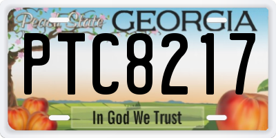 GA license plate PTC8217