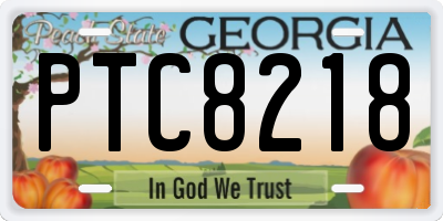 GA license plate PTC8218