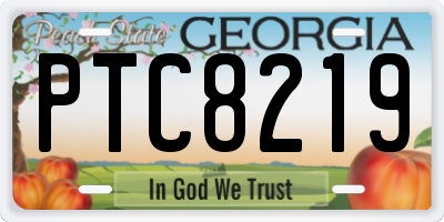 GA license plate PTC8219