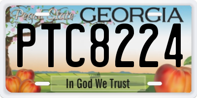 GA license plate PTC8224