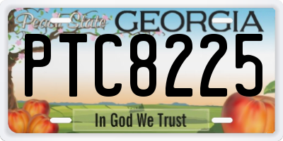 GA license plate PTC8225