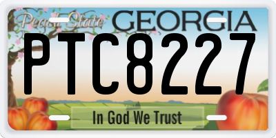 GA license plate PTC8227